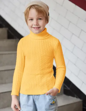 Arshiner Boy's Ribbed Turtleneck Cable Knitted Sweater