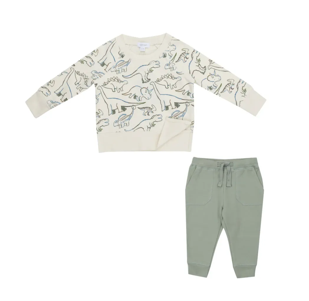 Artsy Dinos Raglan Sweatshirt & Jogger Set