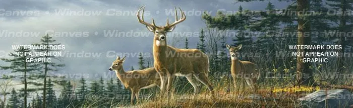 Autumn Whitetails Rear Window Decal