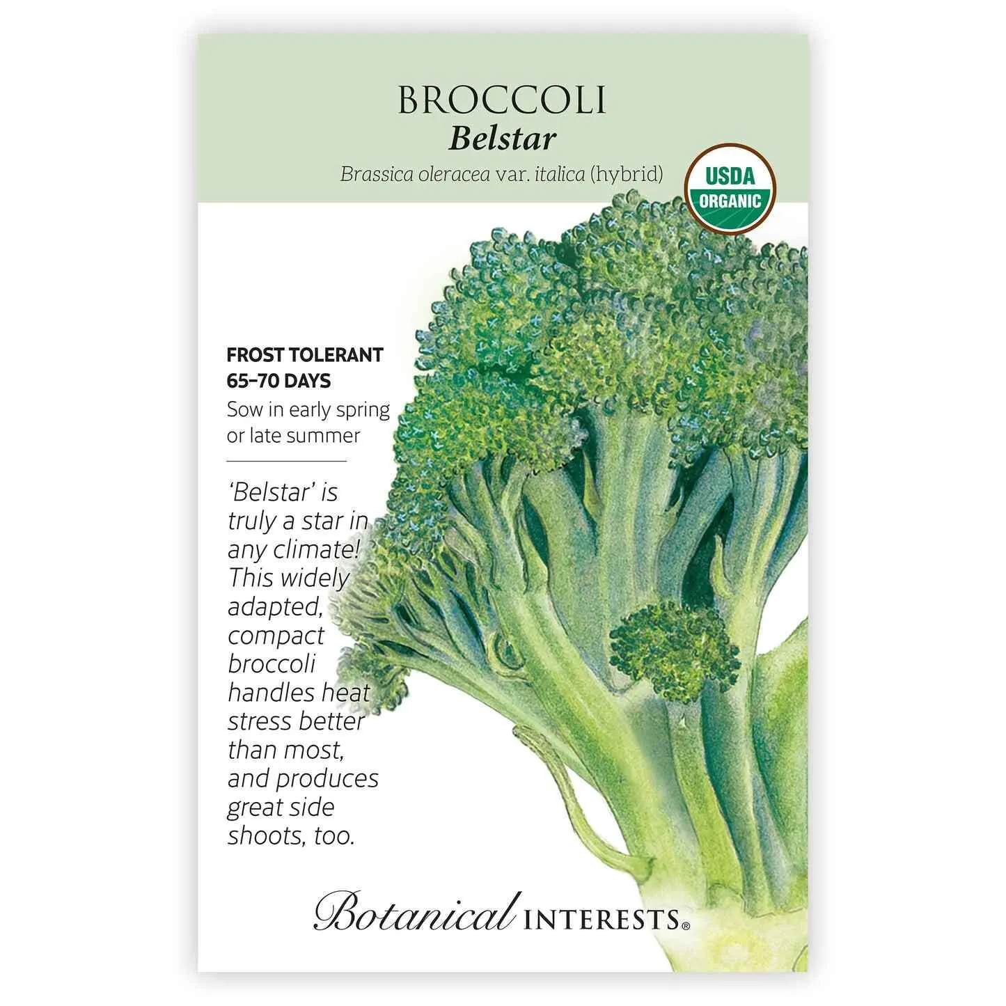 Belstar Broccoli Seeds