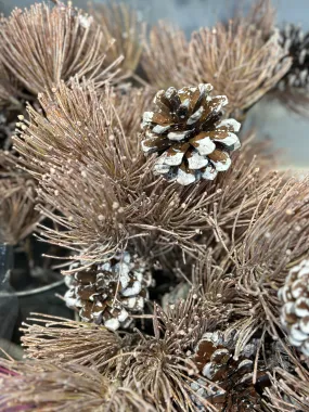 Brown Bottlebrush Pine Spray W/Cones