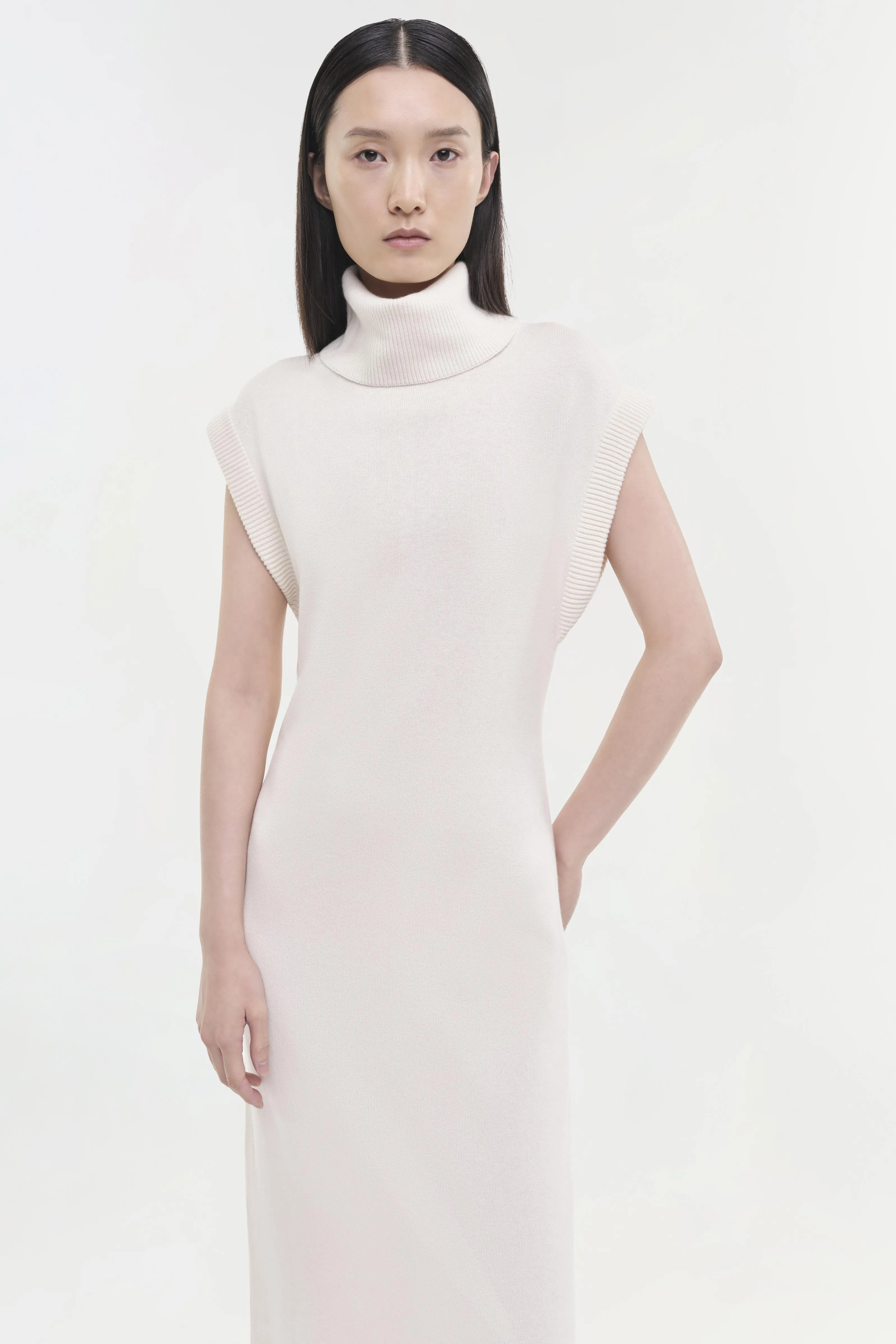 Cashmere Turtleneck Dress