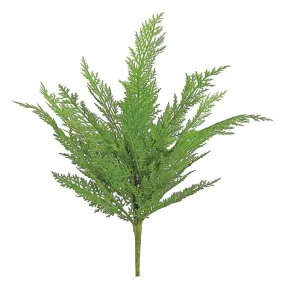 Cedar Bush