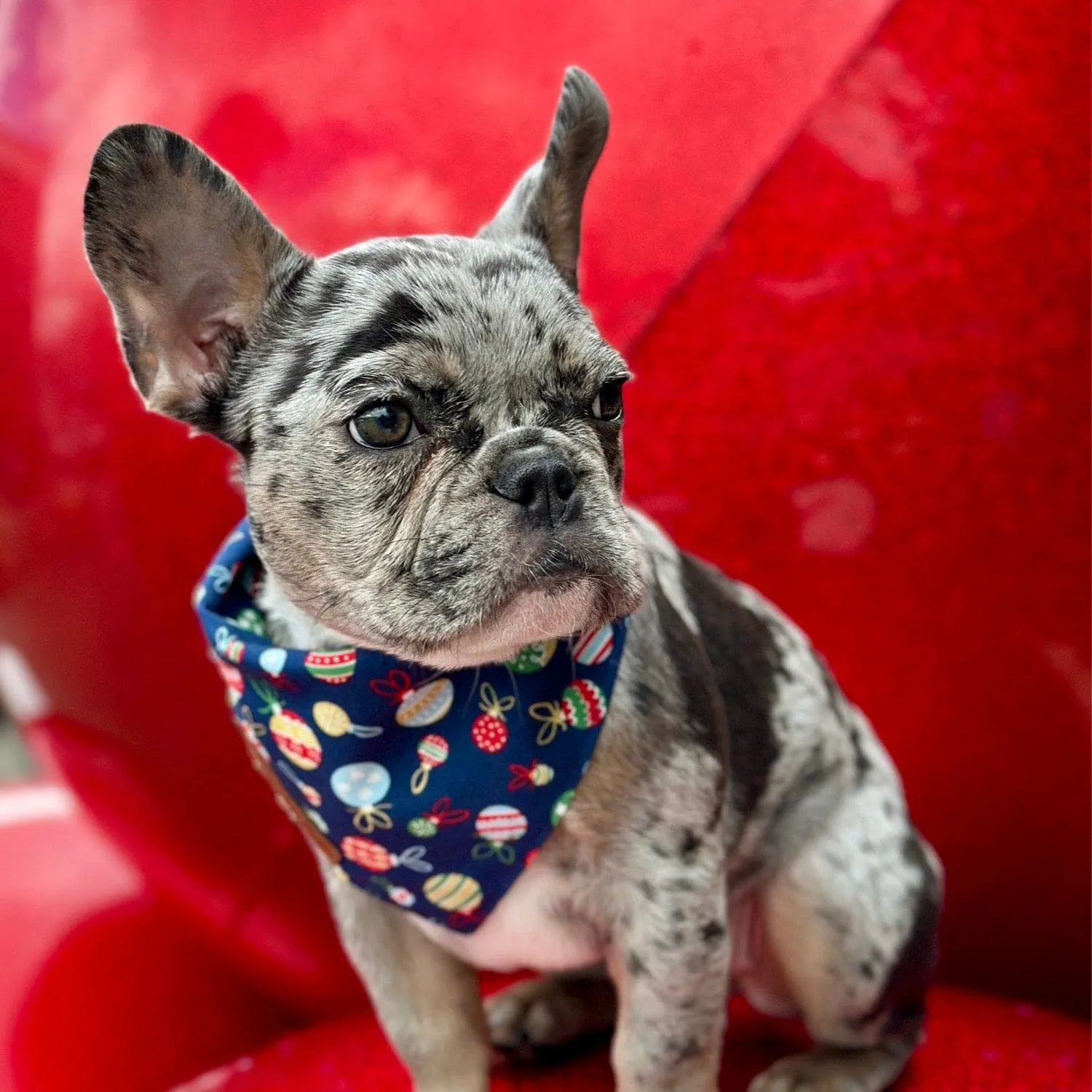 Deck The Halls Dog Bandana