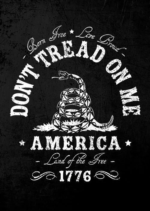 Don't Tread On Me - Hoodie