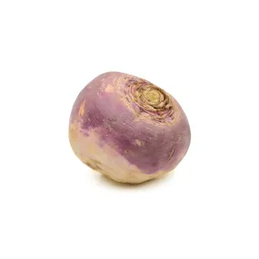 Rutabaga | Tourne-Sol Organic Seeds