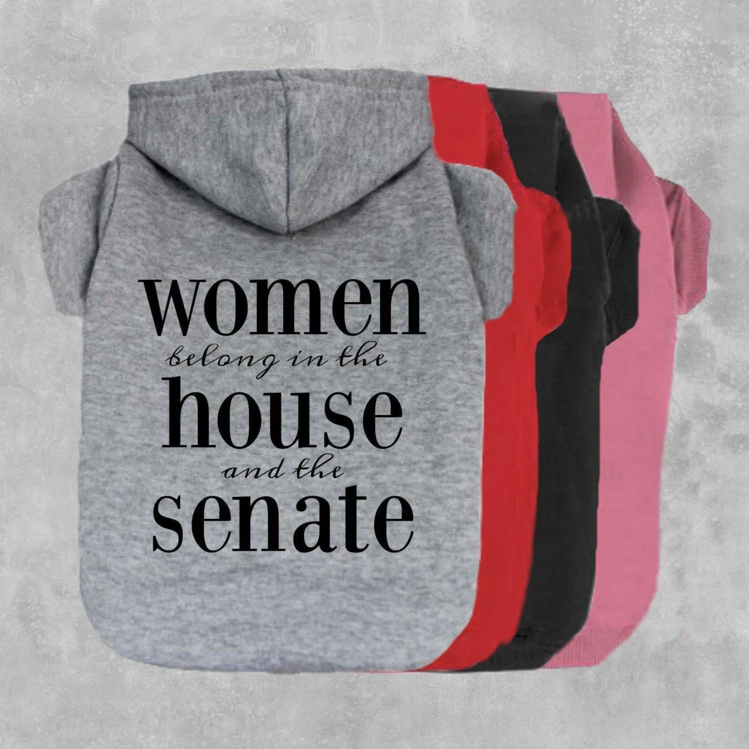 Women Belong In The House & Senate Pet Hoodie