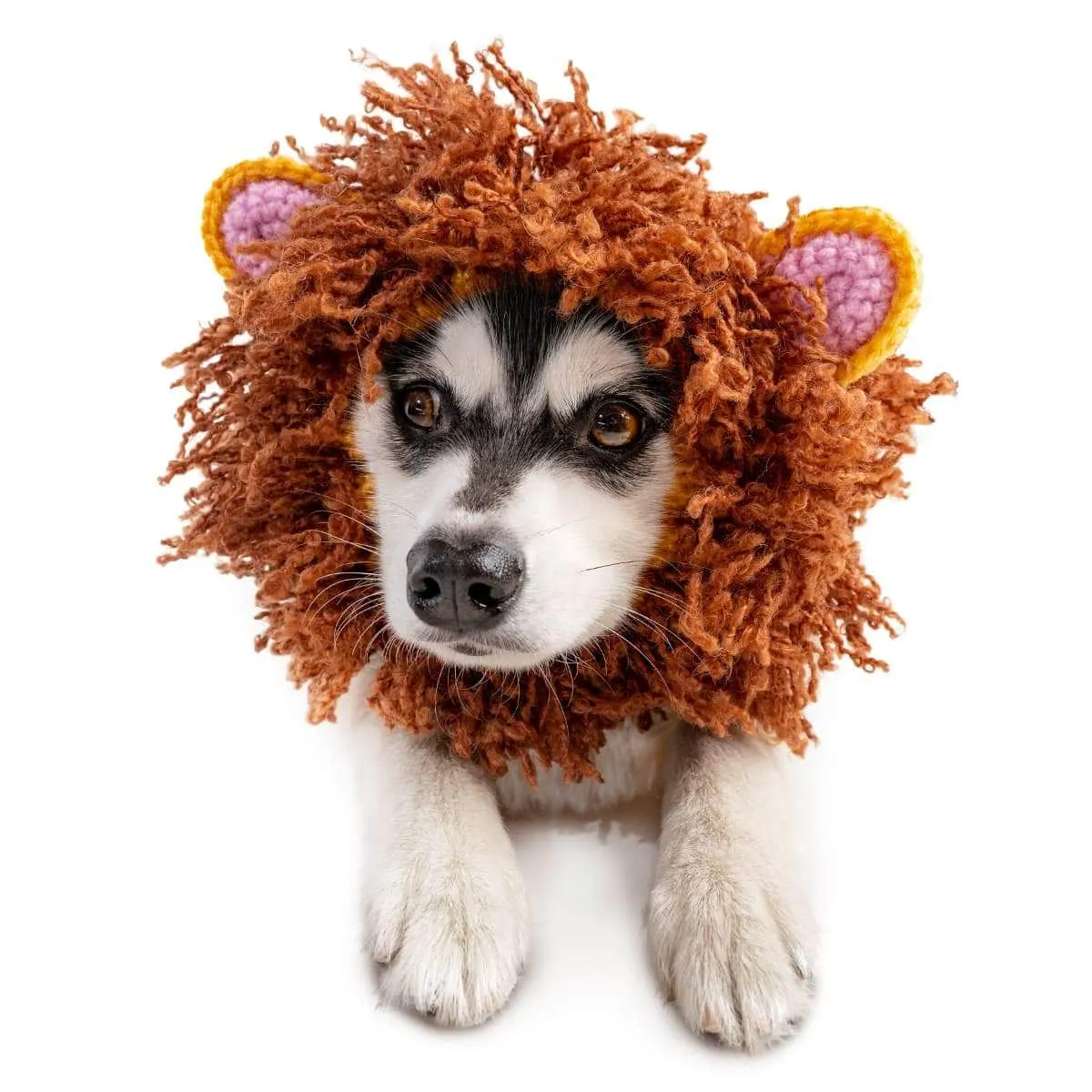 Zoo Snoods Lion